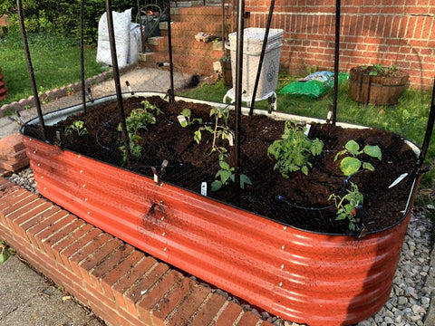 raised garden beds