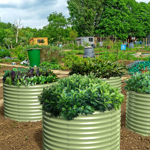 raised garden beds