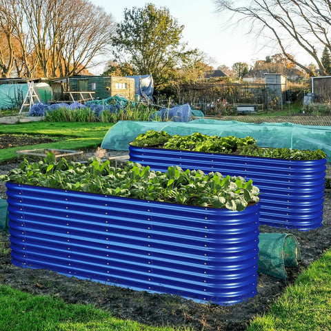 raised garden beds