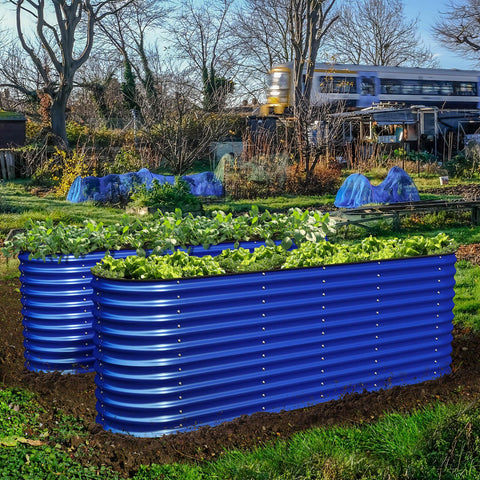 raised garden beds