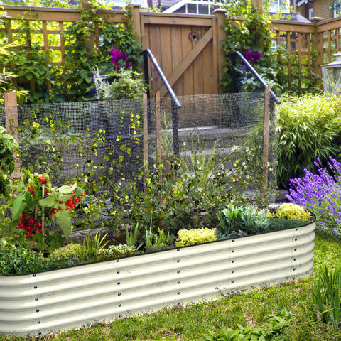 raised garden beds