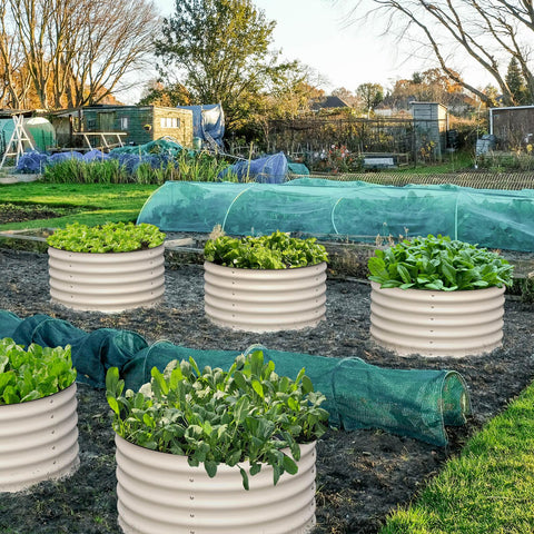 raised garden beds