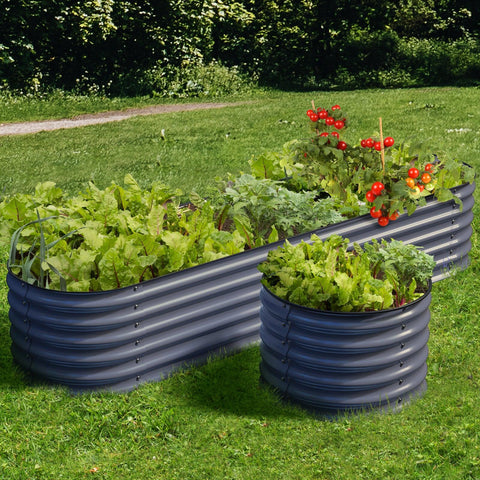 raised garden beds