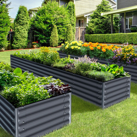 raised garden beds