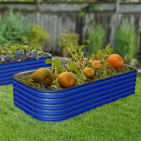 raised garden beds