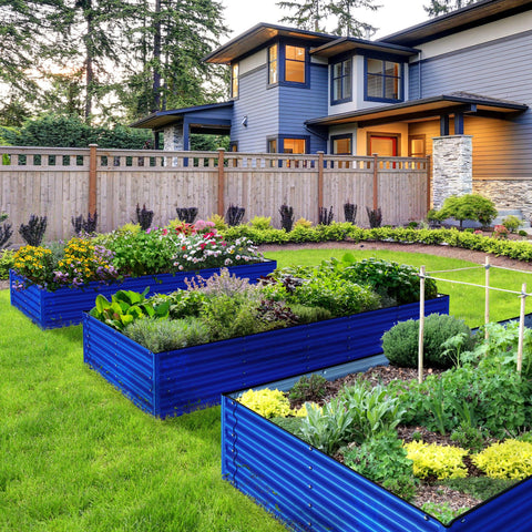 raised garden beds