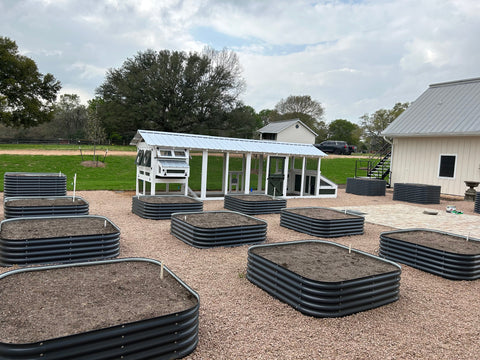 raised garden beds