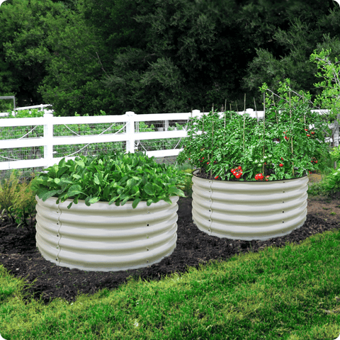 raised garden beds