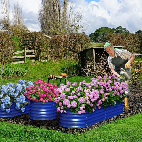 raised garden beds