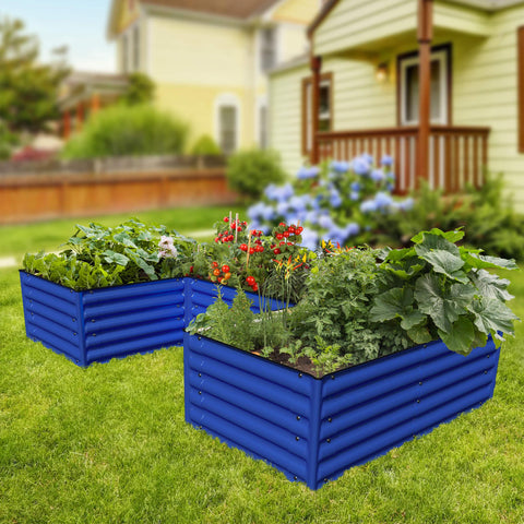 raised garden beds