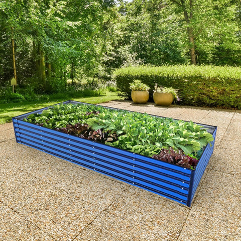 raised garden beds