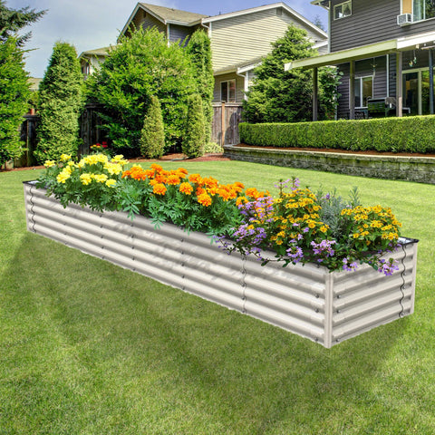 raised garden beds