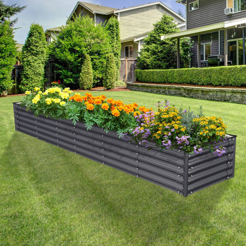 raised garden beds