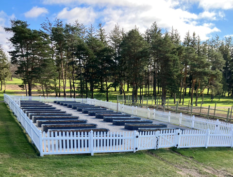 raised garden beds