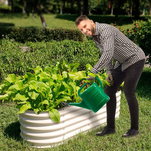 raised garden beds