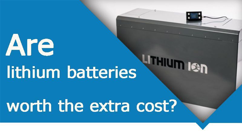 Are lithium batteries worth the extra cost