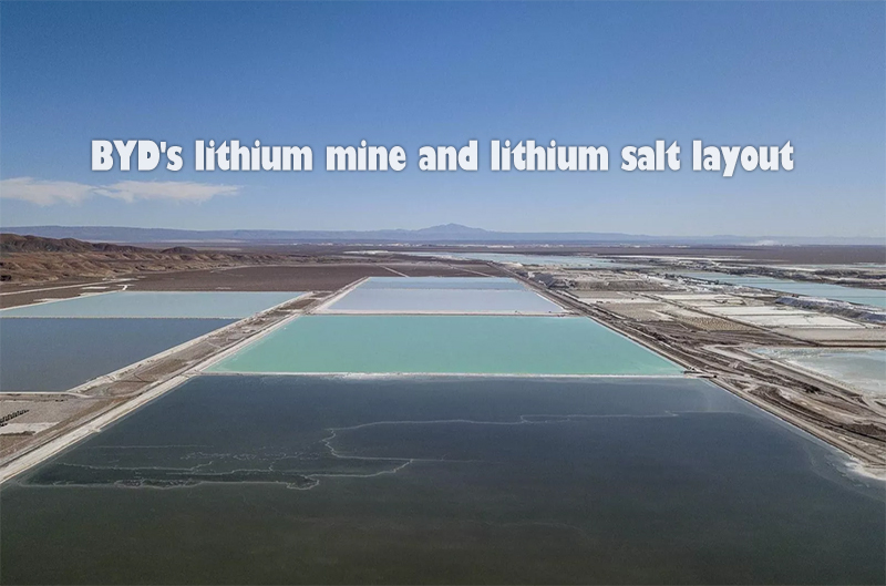 BYD's lithium mine and lithium salt layout
