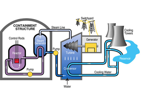 Brief flow chart of PWR nuclear power plant