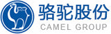 CAMEL GROUP