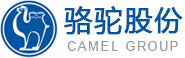 Camel Group is one of the top 10 boat battery manufacturers in China