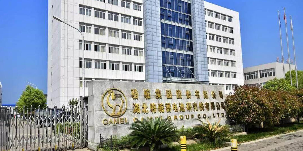 Camel Group building