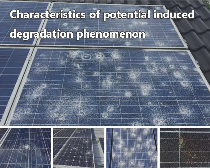 Characteristics of potential induced degradation phenomenon