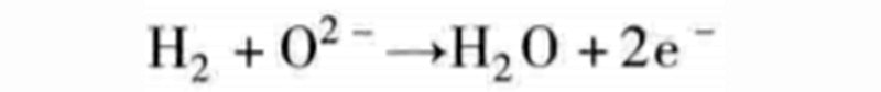 Chemical equation 2.2