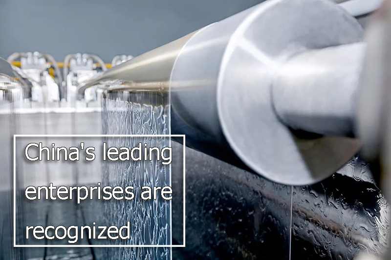 China's leading enterprises are recognized