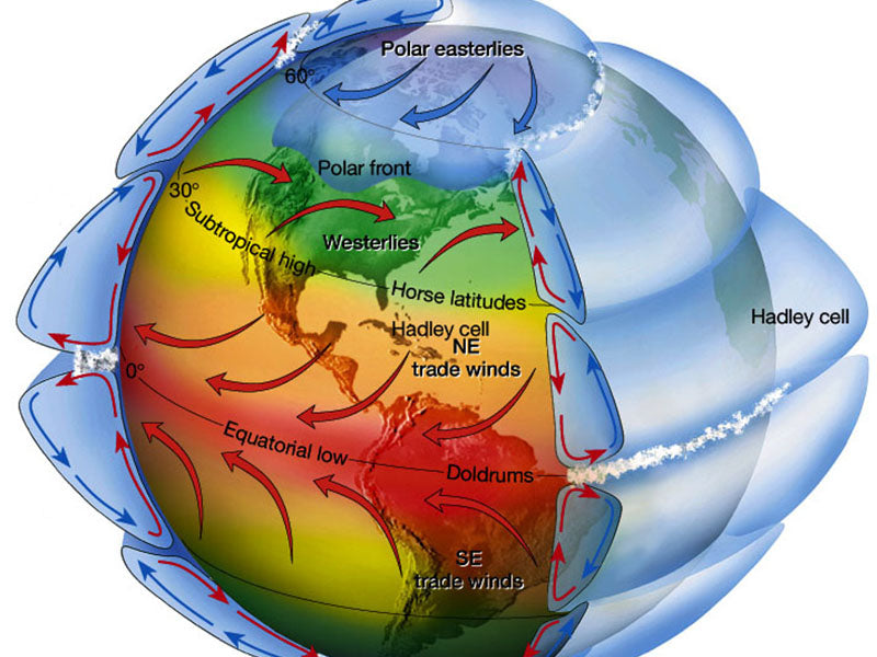 Circulation