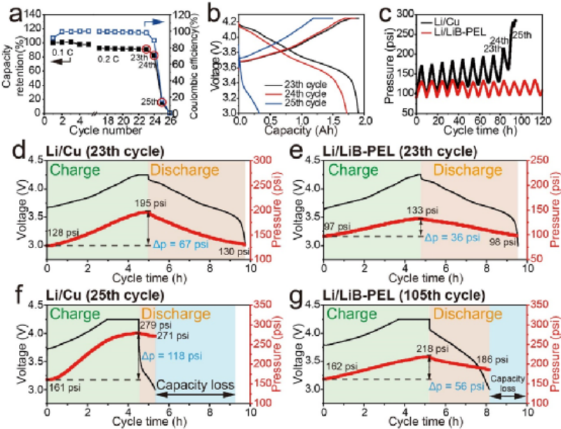 Cycle internal stress analysis