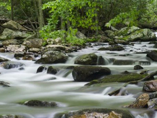 Distribution of water resources