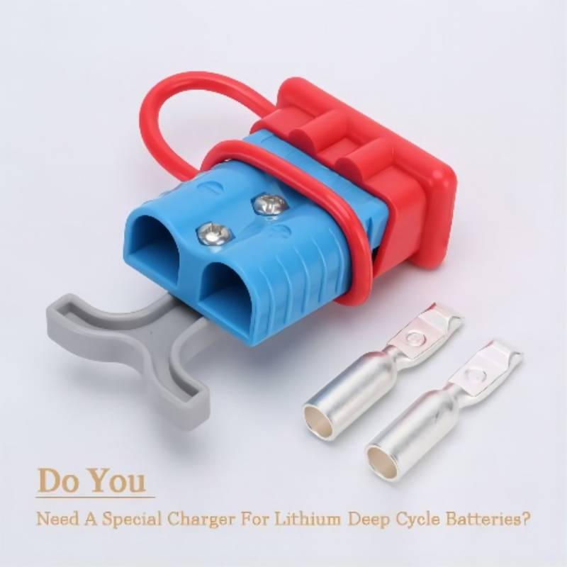 Do You Need A Special Charger For Lithium Deep Cycle Batteries
