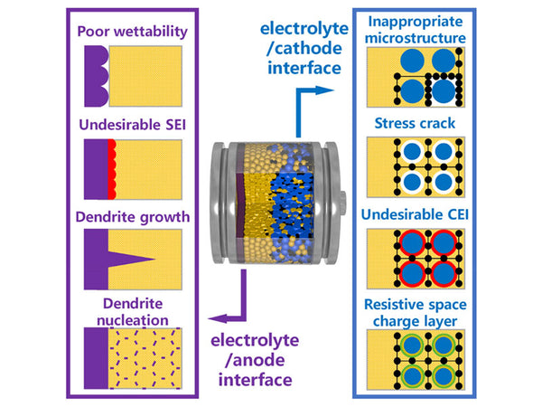 Electrolyte/Electrode Interfaces in All-Solid-State Lithium Batteries