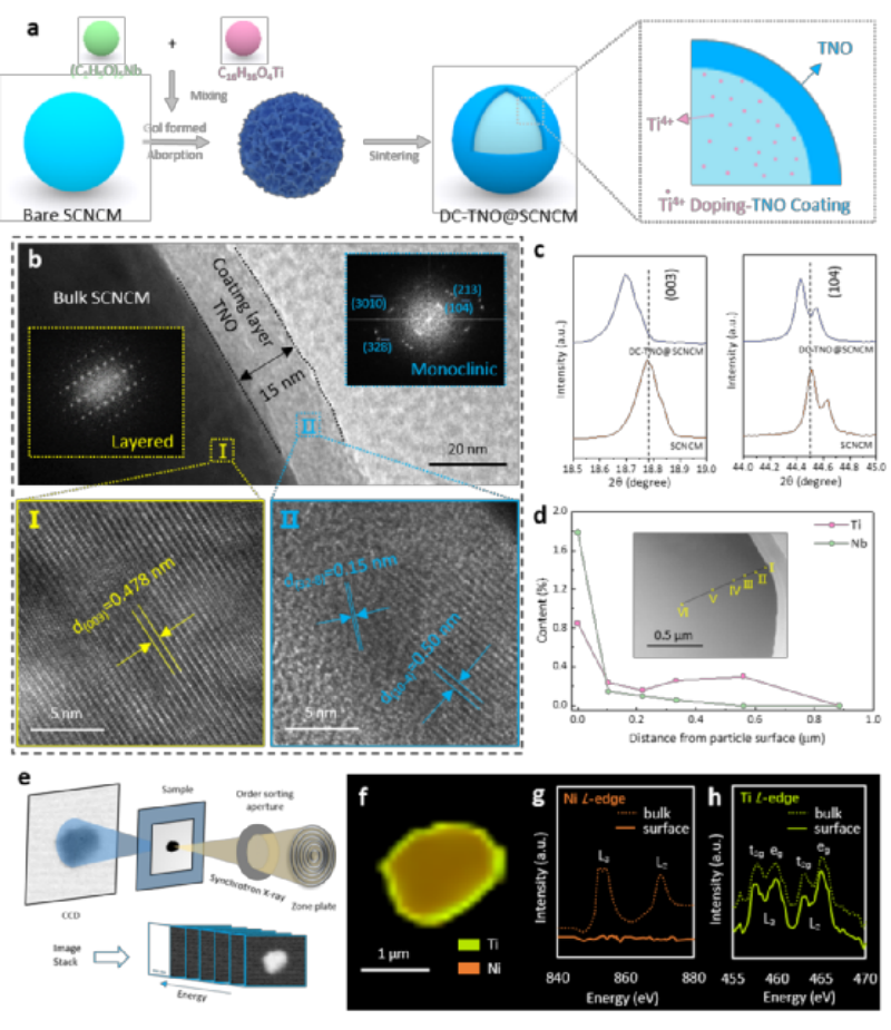 Fig. 1 Characterization of DC-TNO@SCNCM