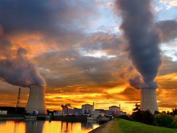 Get out of the shadows and rejuvenate