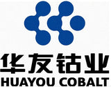 HUAYOU COBALT