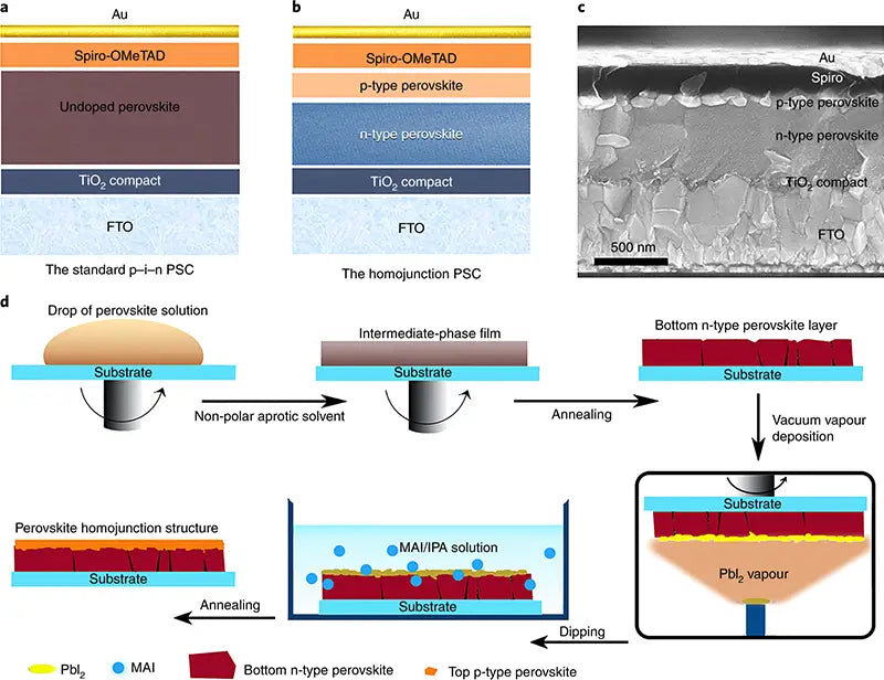 Homojunction solar battery