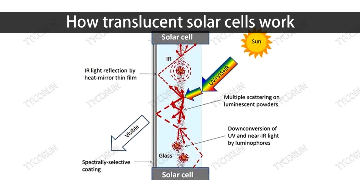 How translucent solar cells work