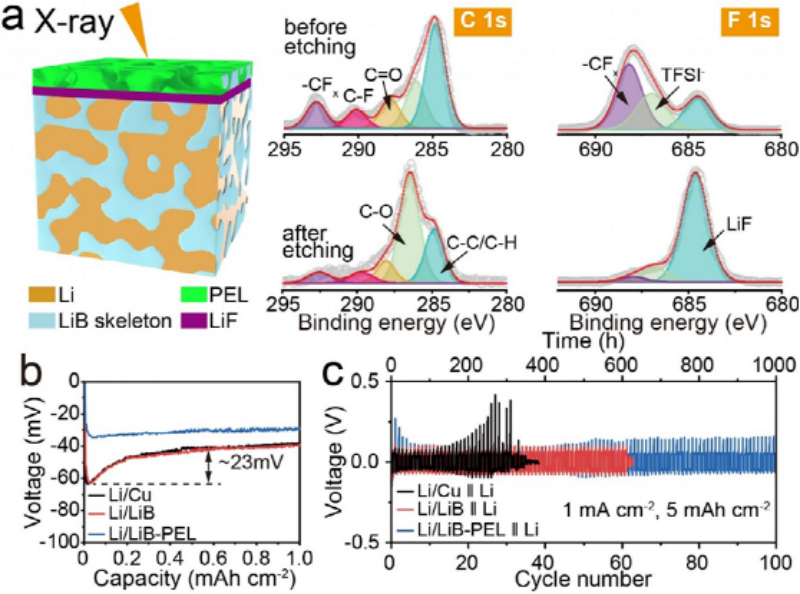 LiLiB-PEL anode surface composition analysis and Li-Li asymmetric battery cycling