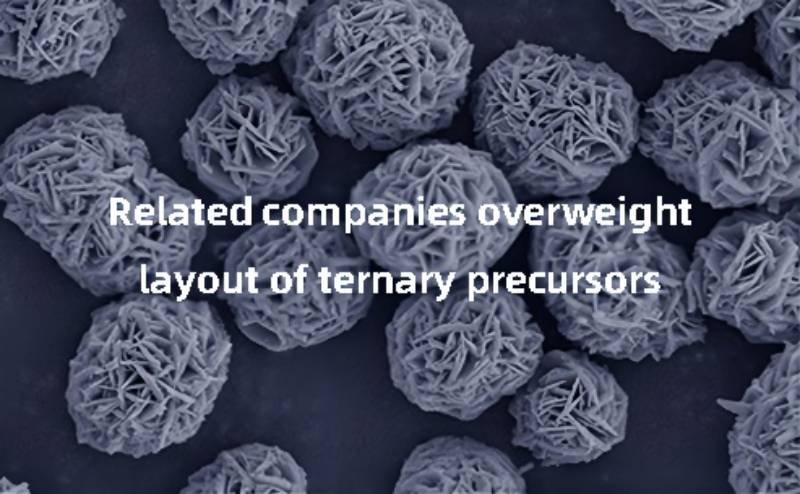 Many related companies overweight layout of ternary precursors