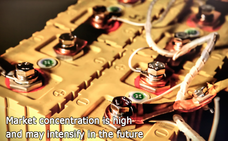 Market concentration is high and may intensify in the future