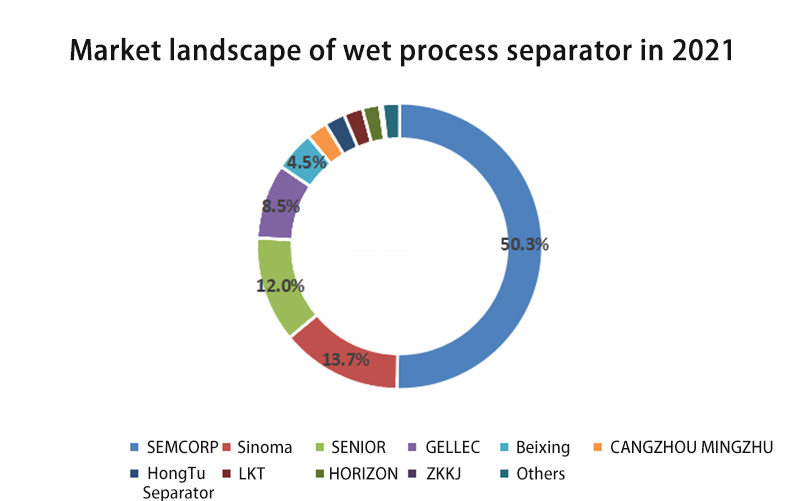 Market landscape of wet process separator in 2021