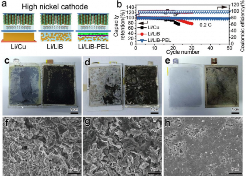 Observation of the failed anode interface