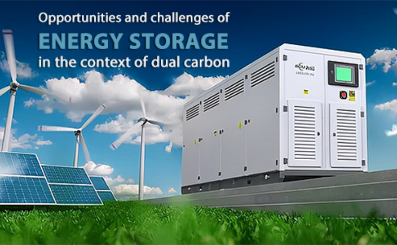 Opportunities and challenges of energy storage in the dual carbon context