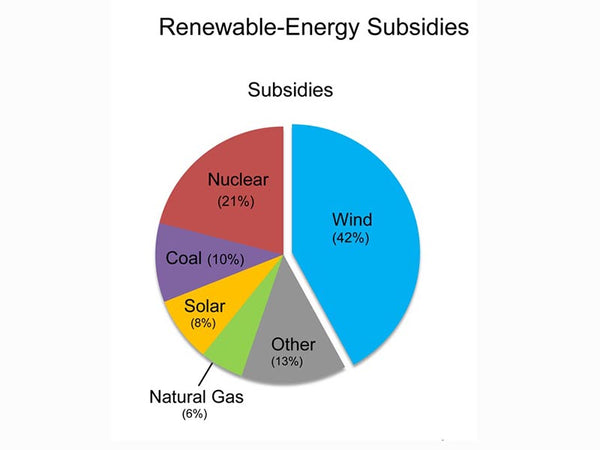 Power generation subsidy