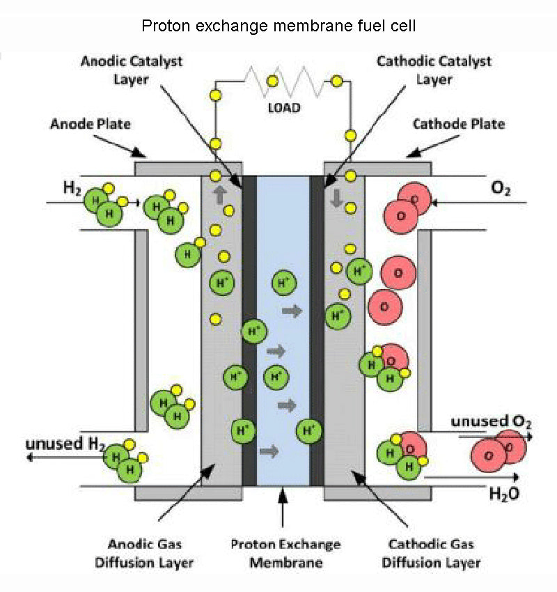 Proton exchange membrane fuel cell