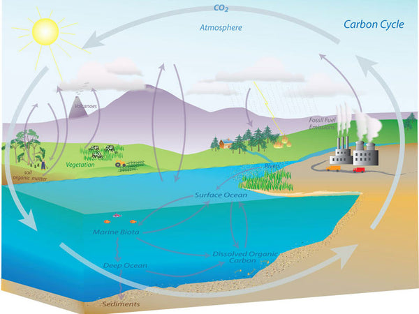 Schematic diagram of greenhouse gases warming the earth
