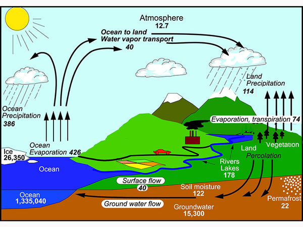 Schematic diagram of rainfall process