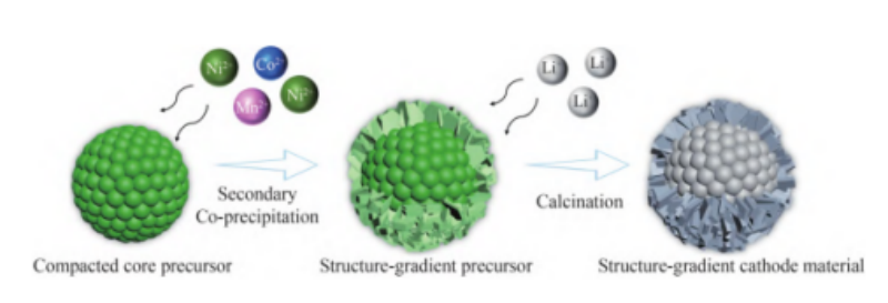 Schematic diagram of the synthesis of structurally graded LiNi0.8Co0.1Mn0.1O2
