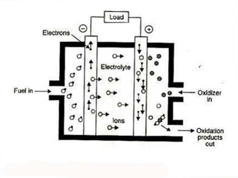 Schematic diagram of the working principle of a fuel cell